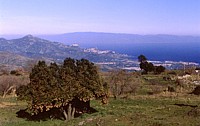 Taormina and Calabria, 12 February 1998