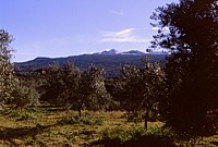Etna's NE flank, 12 February 1998