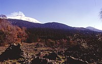 Etna's NNW flank, 24 February 1998