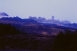 South flank, 23 November 2002