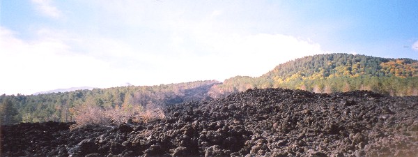 2002 lava flow