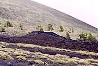 1923 eruptive fissures