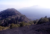 Monte Rinatu