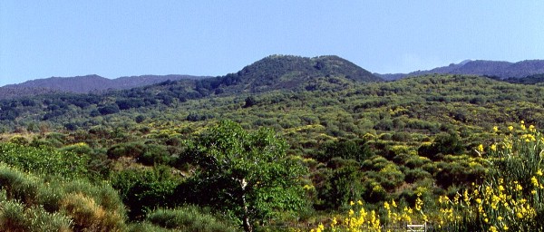 Monte S. Maria