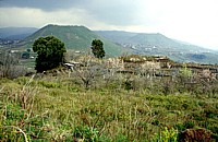Monte S. Nicolò