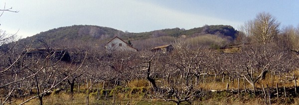 Monte Pomiciaro