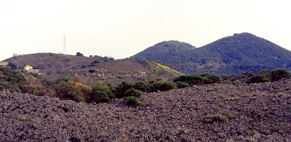 Monte Fusaro