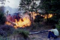 August 1979 eruption