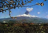 1964 eruption