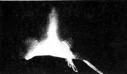 1964 eruption