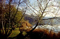 Lago Albano