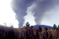 Northeast flank, 1 November 2002