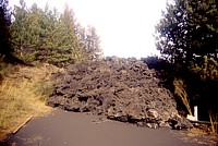Northeast flank, 1 November 2002