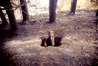Northeast flank, 1 November 2002