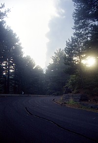 Northeast flank, 1 November 2002