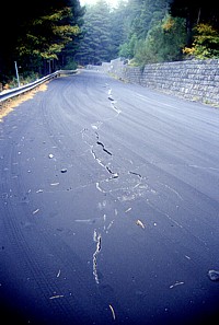 Northeast flank, 1 November 2002