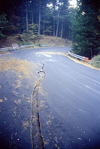 Northeast flank, 1 November 2002