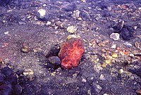 Etna, 13 June 2003