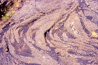 "Lava dei Dammusi", July 2003
