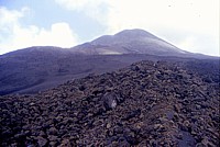 Northeast flank, 1 November 2002