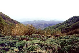 Acqua della Rocca