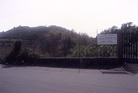 Monte Trigona