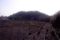 Monte Trigona