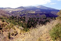 Monte Sona
