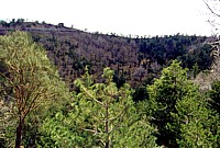 Monte Sona
