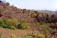 Monte Sona