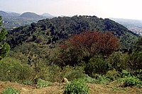 Monti Rossi