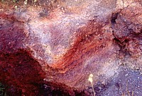 Monte Barca